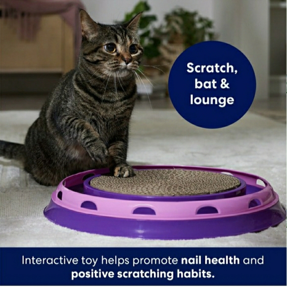 NEW 2-Cat Scratch, Bat, Play Toy Bundle - Picture 3 of 9